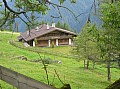 Schrofenalm-Tuxer.JPG Schrofenalm-Tuxer.JPG