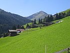 Almen im Tuxertal.jpg Almen im Tuxertal.jpg
